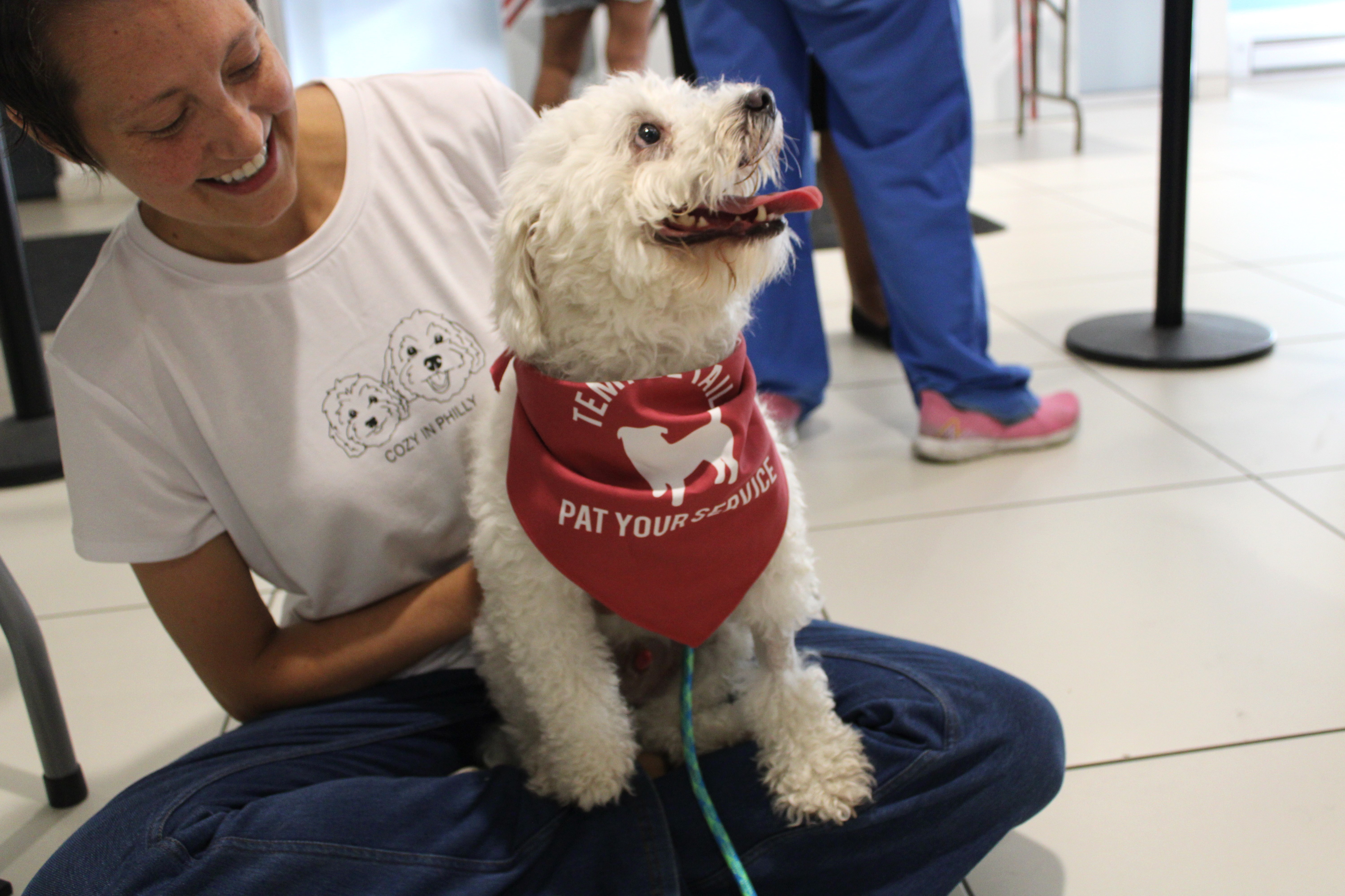 It's all smiles here from this adoptable friend.