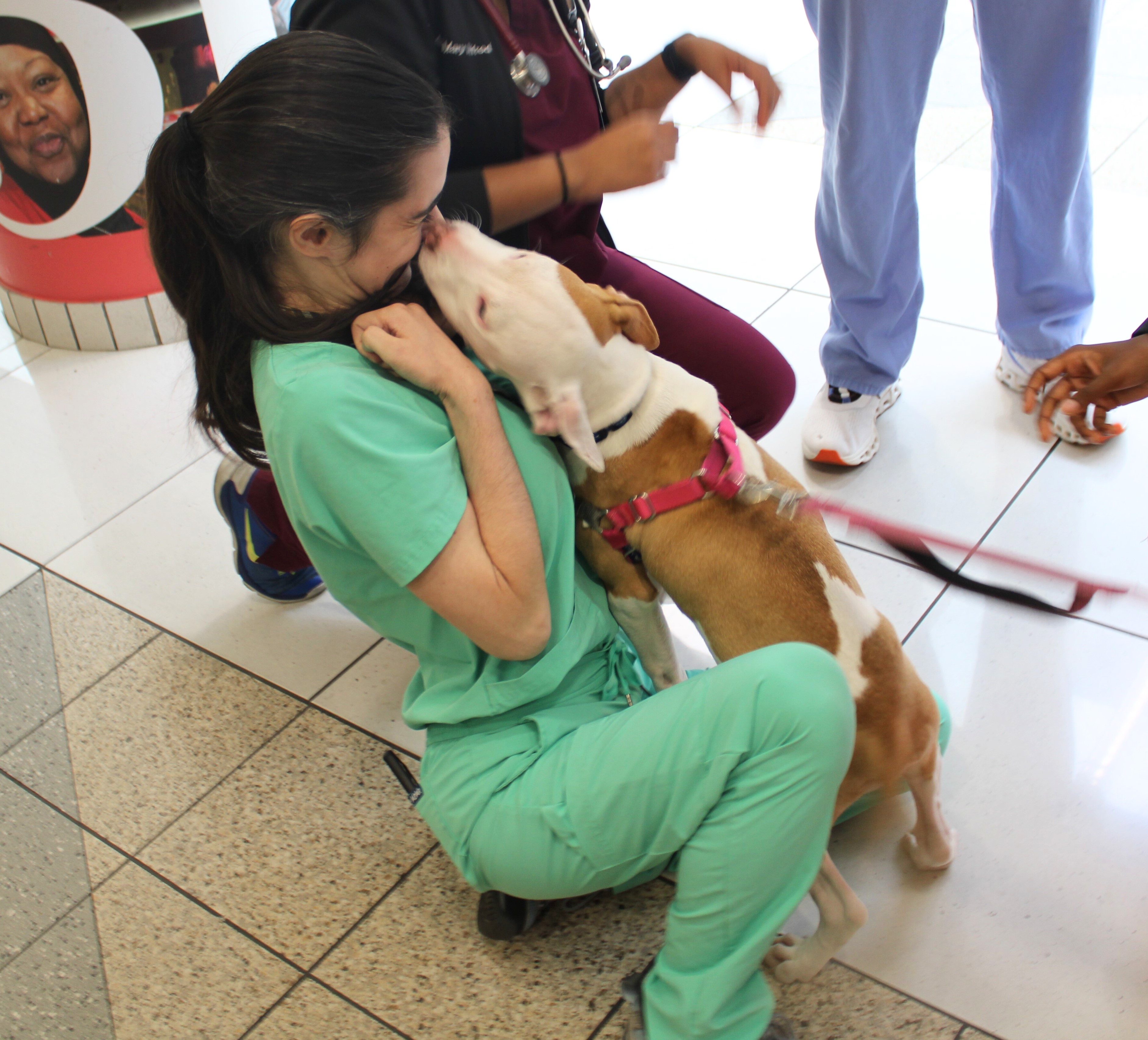 Another puppy who can't get enough of kisses.