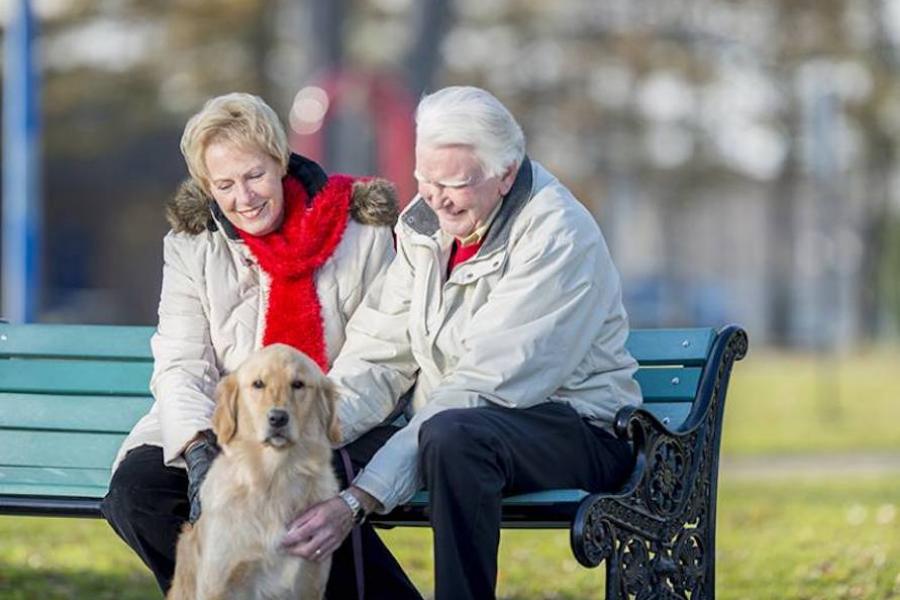 Husband and wife sitting on a park bench and petting their dog